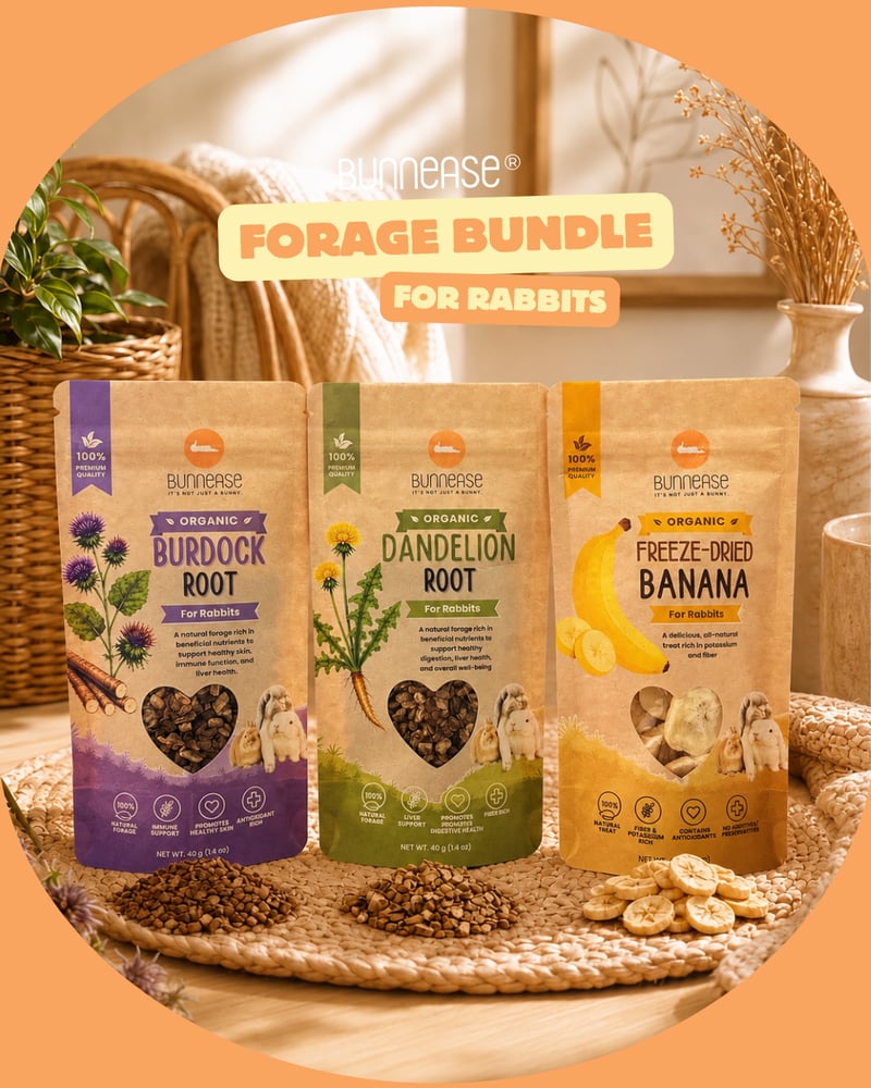 Image of Organic and Healthy Forage Variety Pack for Rabbits - Dandelion, Burdock, Banana 