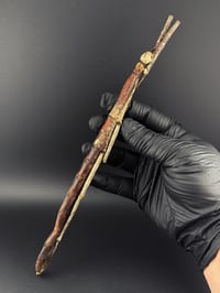 Image 1 of #171 Tirachoidea Westwoodi (Giant Walking Stick Insect)