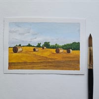 Harvest Season 1