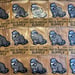 Image of Milwaukee Trash Panda / limited edition patch
