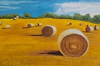 Harvest Season 2