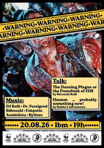 Image of WARNING: schiach & grindig