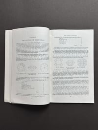 Image 8 of A Guide to the Collection of Gemstones in the Geological Museum