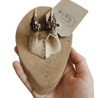 Image 2 of Vintage Mini Birch Wood Roe Deer Antlers