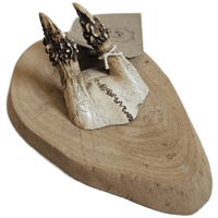 Image 1 of Vintage Mini Birch Wood Roe Deer Antlers