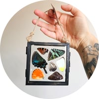 Image 2 of Butterfly & Moth Wing Hanging Small I