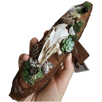 Image 3 of Woodland Themed Weathered Rabbit Skull Plaque II