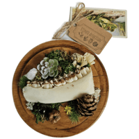 Image 1 of Woodland Themed Weathered Deer Jaw Mount