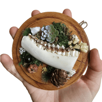 Image 3 of Woodland Themed Weathered Deer Jaw Mount