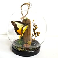 Image 2 of Chocolate Albatross Butterfly Mini Woodland Hanging Globe