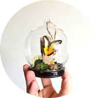 Image 3 of Chocolate Albatross Butterfly Mini Woodland Hanging Globe