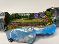 Image 5 of Lens 