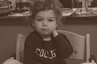 Image 2 of COLLEGE Shirt, Animal House, Toddler Shirt, Toddler Girls Clothes, Toddler Gifts, Toddler Boy Shi...