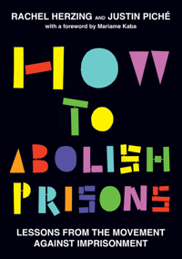 Image 2 of How to Abolish Prisons with Study Guide!