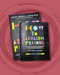 Image 1 of How to Abolish Prisons with Study Guide!