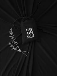 Image 1 of Alchemist Kit