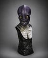 Casey Love's Black Mamba Resin Bust  (Fully Painted & Model Kit)