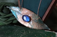 Image 1 of Vera foglia di alloro racchiusa nel rame con patina celeste e labradorite blu
