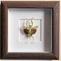 Rustic - Jewelled Flower Mantis