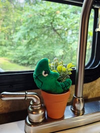 Image 1 of Potted Pokemon Metapod