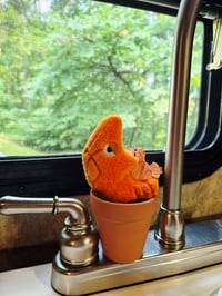 Image 2 of Potted Pokemon Metapod