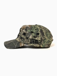 Image 3 of BTC cap