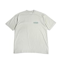 Image 1 of OPEN WATERS TEE - SAGE