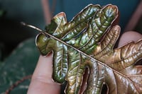 Image 2 of Collana con vera foglia di quercia farnia maxi racchiusa nel rame con patina verde