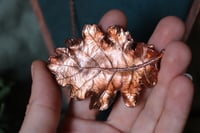 Image 2 of Vera foglia di quercia racchiusa nel rame con patina ossidata calda - orizzontale