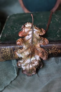Image 1 of Collana con vera foglia di quercia racchiusa nel rame con patina sfumata autunnale