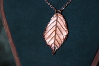 Image 1 of Collana con vera foglia di rovo elettroformata in rame con patina leggermente ossidata 