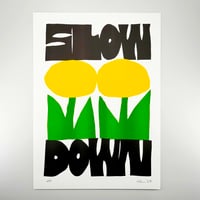 SLOW DOWN