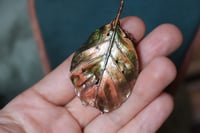 Image 1 of Collana con vera foglia di faggio irlandese con patina dipinta verde