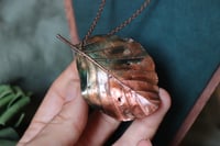 Image 1 of Collana con vera foglia di faggio irlandese con patina dipinta teal