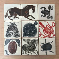 Image 2 of Squid tile