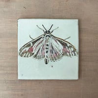 Box moth tile