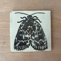 Image 1 of Dark moth tile