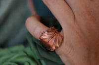 Image 3 of Anello con vera foglia di rovo elettroformata in rame e finitura ossidata - tg. 10