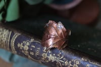 Image 1 of Anello con vera foglia di quercia elettroformata in rame e finitura ossidata, taglia 21