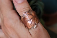 Image 2 of Anello con vera foglia di quercia elettroformata in rame e finitura ossidata, taglia 21