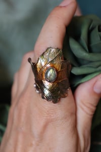 Image 1 of Anello con vera foglia di quercia elettroformata in rame e patina verde con labradorite, tg. 21
