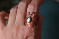 Image 3 of Anello con vera foglia di quercia elettroformata in rame ossidato con labradorite tg. 19