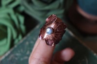 Image 2 of Anello con vera foglia di quercia elettroformata con finitura dipinta rossa e labradorite tg. 15