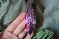 Image 1 of Collana con vera foglia di alloro maxi racchiusa nel rame con patina viola