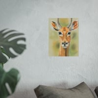 Image 2 of Morning Watch — Antelope Fine Art Print