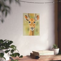 Image 3 of Morning Watch — Antelope Fine Art Print