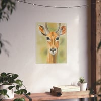 Image 5 of Morning Watch — Antelope Fine Art Print