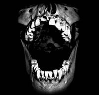 Bizarre Uproar/Deathkey - Split CD (Freak Animal)