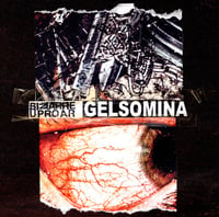 Bizarre Uproar/Gelsomina - 2007-2008 2xCD (F&V)