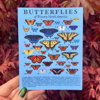 Image 1 of Butterflies of Western North America Print